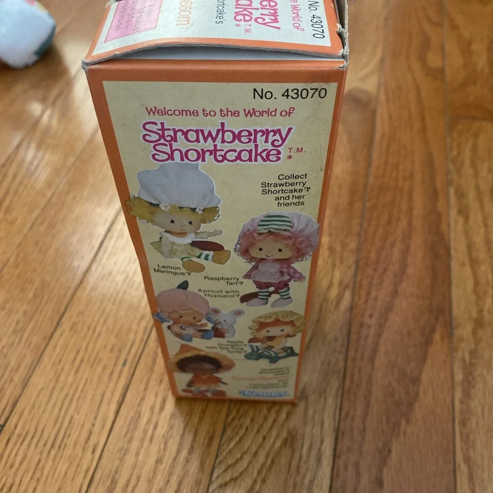 VTG Kenner Strawberry Shortcake Orange Blossom Doll 1980 -‎ (43070)